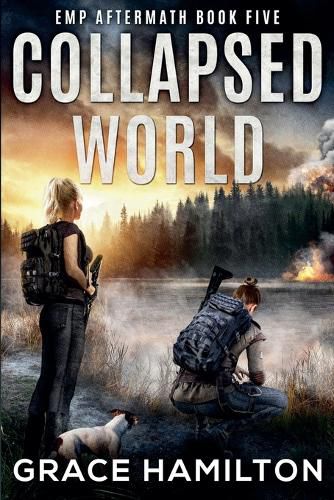 Cover image for Collapsed World