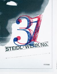 Cover image for Theseus Chan: STEIDL-WERK No.31 - GHOSTS IN THE MACHINE