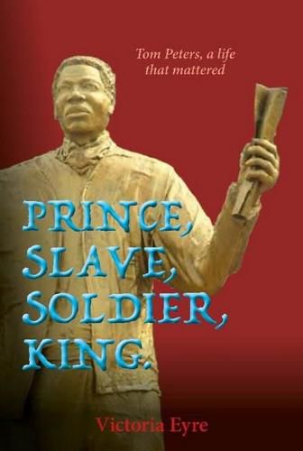 Cover image for Prince Slave Soldier King