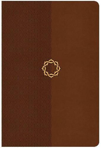 CSB Essential Teen Study Bible, Walnut LeatherTouch