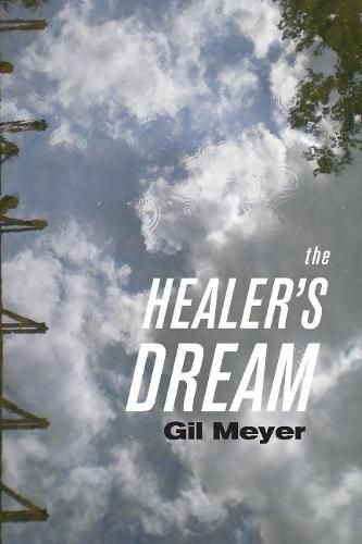 Cover image for The Healer's Dream