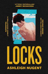 Cover image for Locks