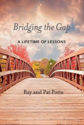 Cover image for Bridging the Gap