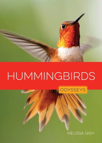 Cover image for Hummingbirds