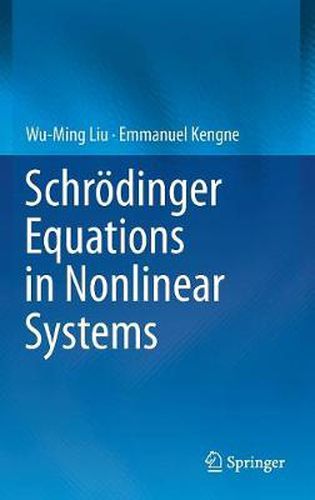 Cover image for Schroedinger Equations in Nonlinear Systems