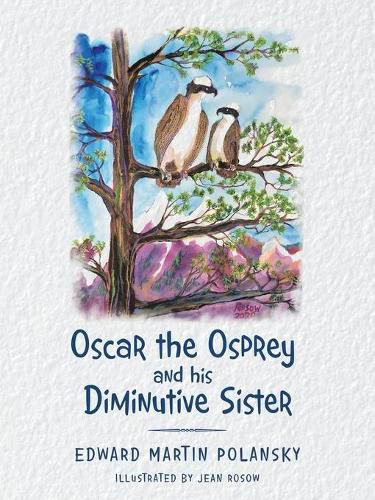 Cover image for Oscar the Osprey and His Diminutive Sister