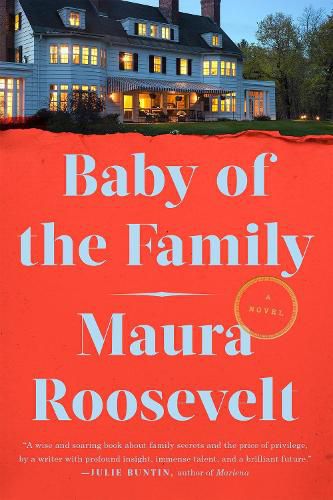 Cover image for Baby of the Family: A Novel