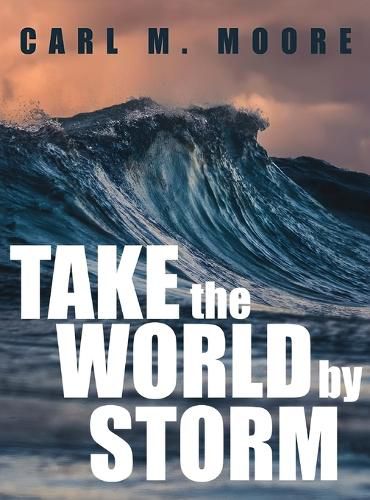 Cover image for Take the World by Storm