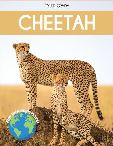 Cover image for Cheetah