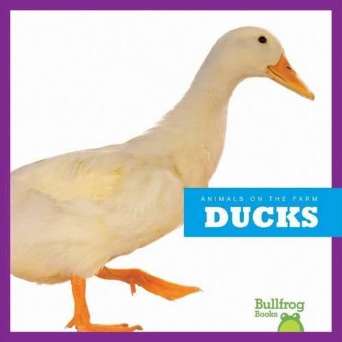 Cover image for Ducks