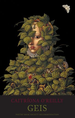 Cover image for Geis