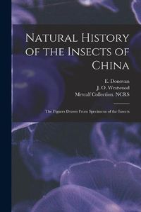 Cover image for Natural History of the Insects of China: the Figures Drawn From Specimens of the Insects