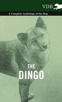 Cover image for The Dingo - A Complete Anthology of the Dog -