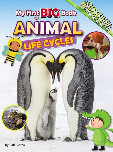 Cover image for My First BIG Book of ANIMAL Life Cycles