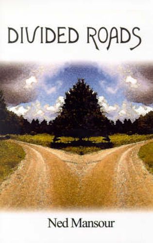 Cover image for Divided Roads