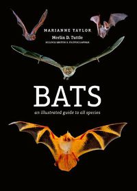 Cover image for Bats: An illustrated guide to all species