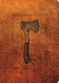 Cover image for Hatchet