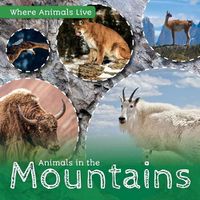 Cover image for Animals in the Mountains