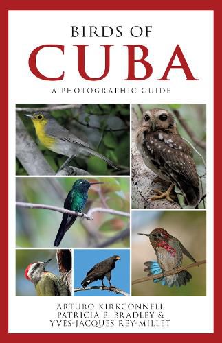 Cover image for Birds of Cuba: A Photographic Guide