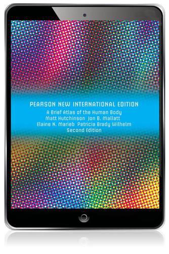 Cover image for Brief Atlas of the Human Body, A