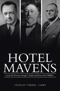 Cover image for Hotel Mavens