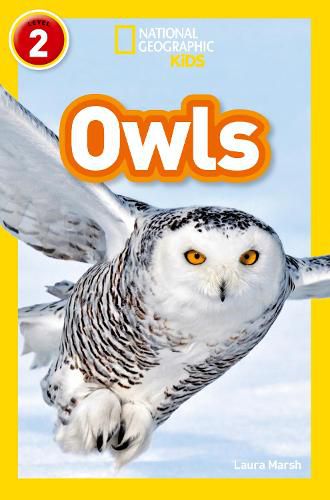 Cover image for Owls: Level 2