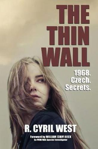 Cover image for The Thin Wall: A POW/MIA Truth Novel