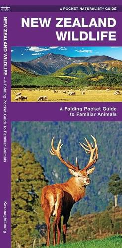 Cover image for New Zealand Wildlife: A Folding Pocket Guide to Familiar Animals