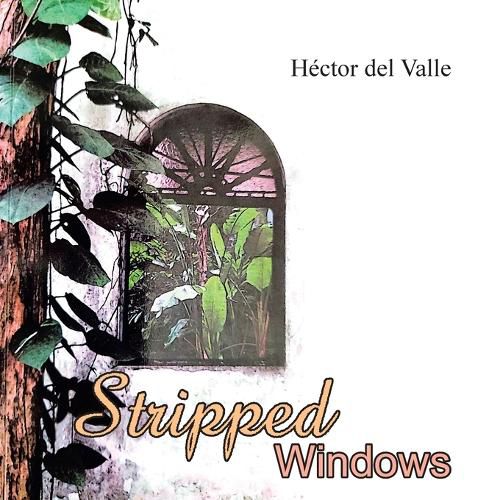 Cover image for Stripped Windows