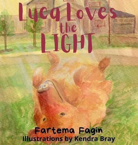 Cover image for Luca Loves The Light