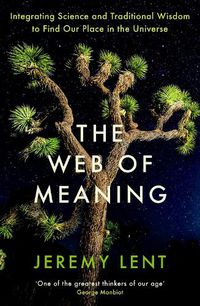 Cover image for The Web of Meaning: Integrating Science and Traditional Wisdom to Find Our Place in the Universe