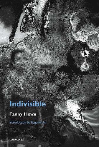 Cover image for Indivisible, new edition