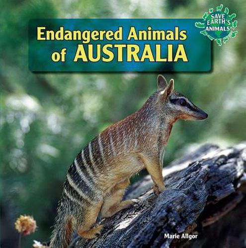 Cover image for Endangered Animals of Australia