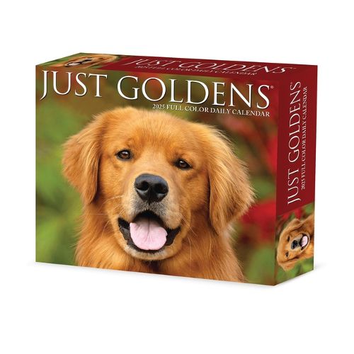 Cover image for Goldens 2026 5.4 X 6.2 Box Calendar