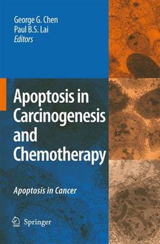 Cover image for Apoptosis in Carcinogenesis and Chemotherapy: Apoptosis in cancer