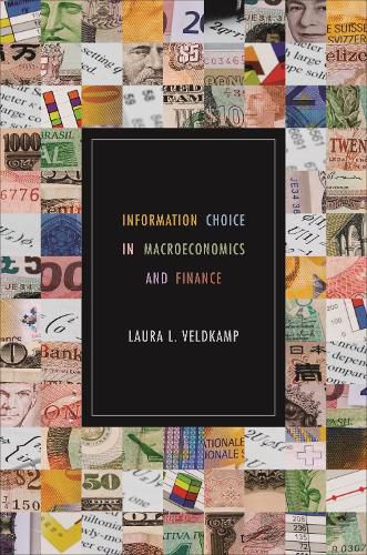 Cover image for Information Choice in Macroeconomics and Finance