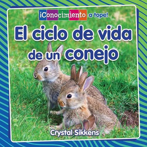 Cover image for El Ciclo de Vida de Un Conejo