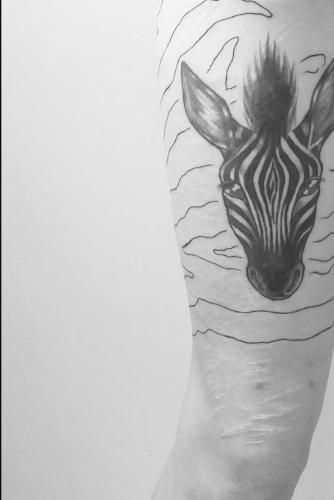 Cover image for Scars and Stripes