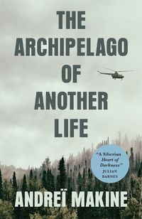 Cover image for The Archipelago of Another Life