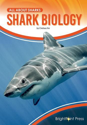 Cover image for Shark Biology