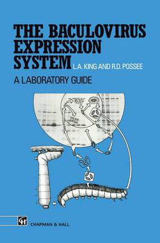 Cover image for The Baculovirus Expression System: A laboratory guide