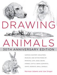 Cover image for Drawing Animals