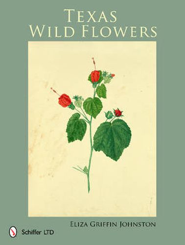 Cover image for Texas Wild Flowers