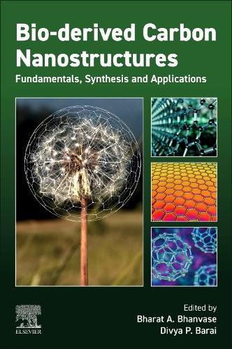 Cover image for Bio-derived Carbon Nanostructures