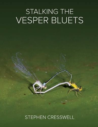 Cover image for Stalking the Vesper Bluets