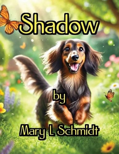 Cover image for Shadow