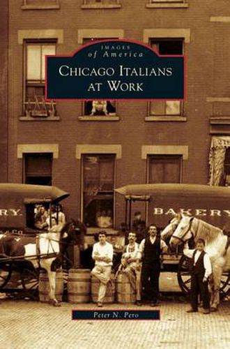 Cover image for Chicago Italians at Work