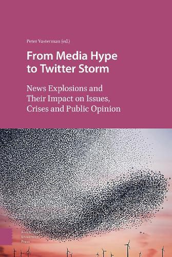 From Media Hype to Twitter Storm: News Explosions and Their Impact on Issues, Crises and Public Opinion