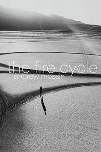 Cover image for The Fire Cycle