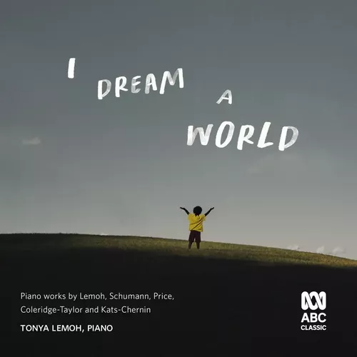 Cover image for I Dream A World